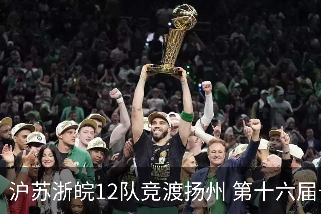 沪苏浙皖12队竞渡扬州 第十六届长三角龙舟赛擂鼓开桨