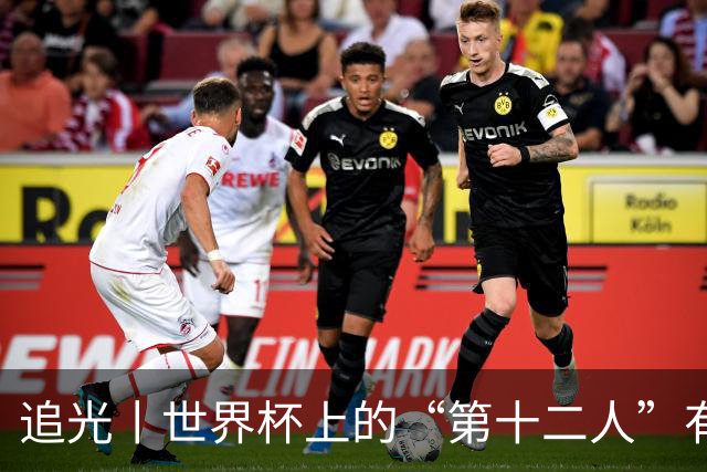 追光丨世界杯上的“第十二人”有多能整活？